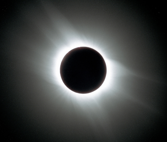ファイル 1099-1.jpg