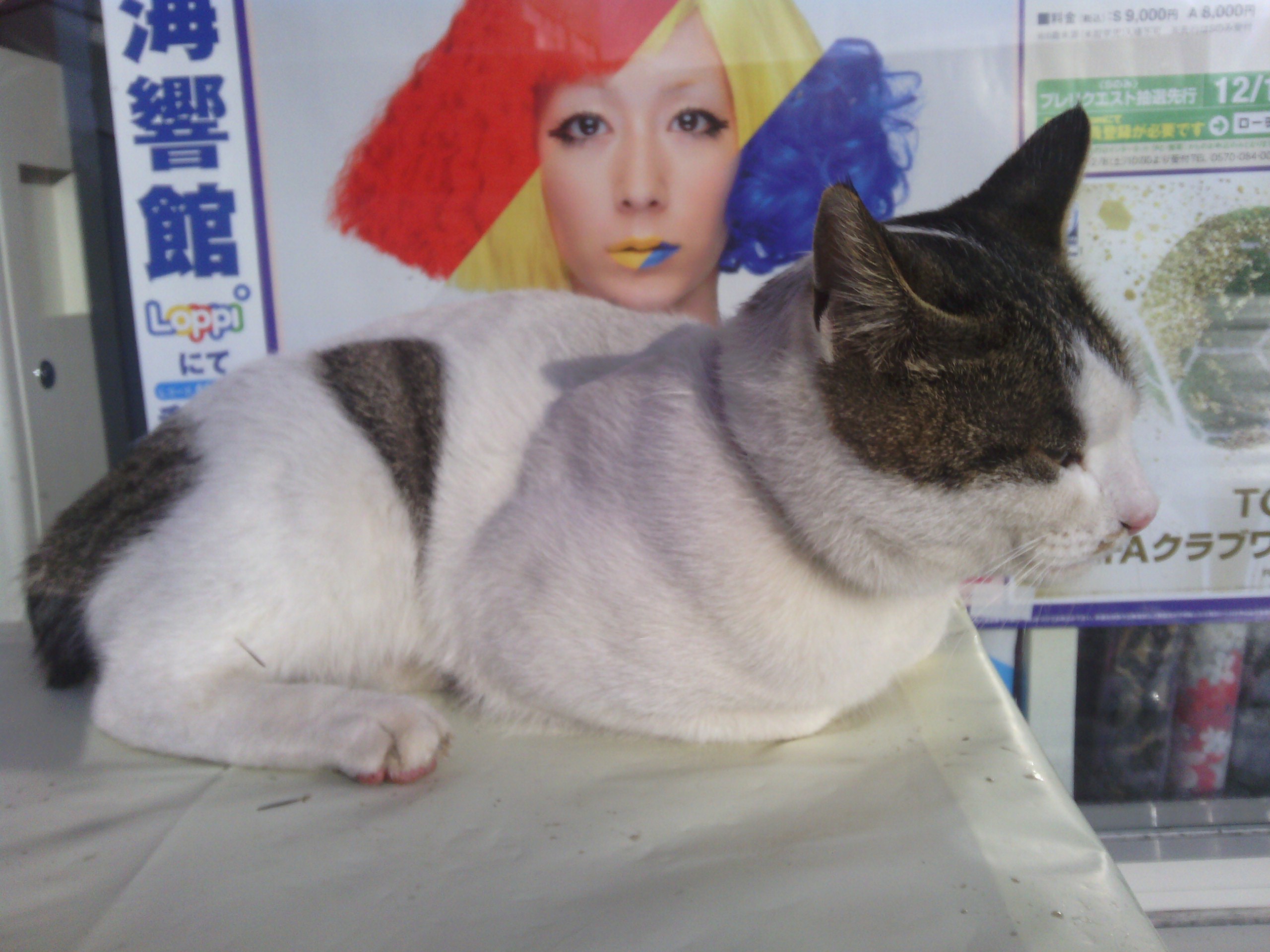ファイル 1314-3.jpg