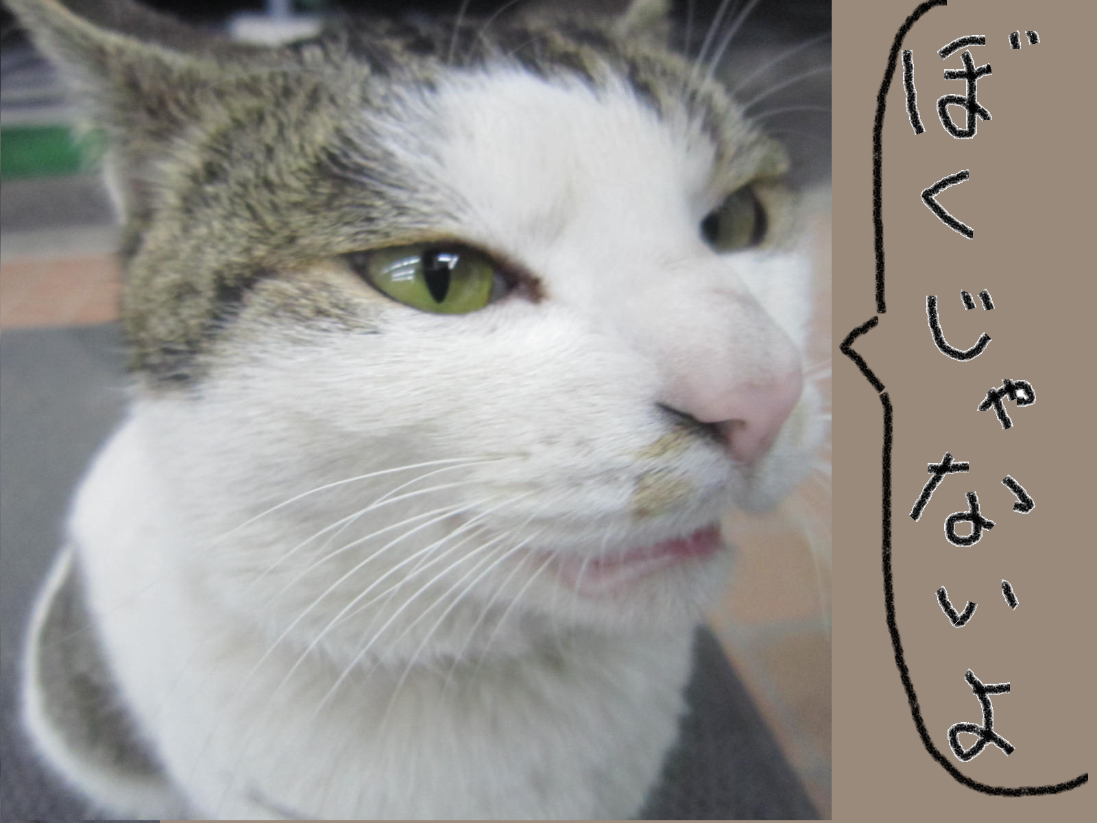 ファイル 1511-4.png