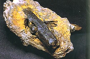 ファイル 1869-3.jpg