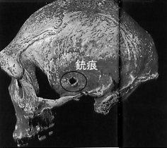 ファイル 1876-1.jpg