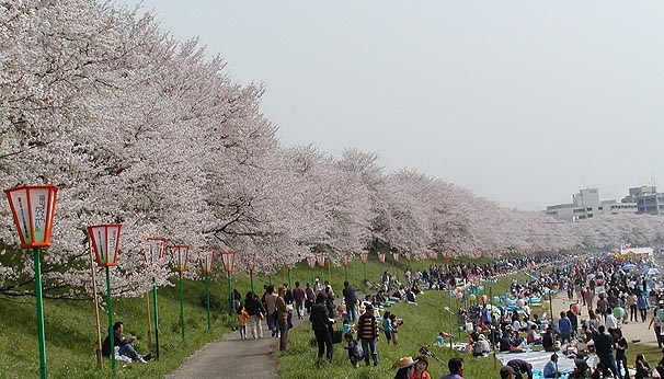 ファイル 2173-1.jpg