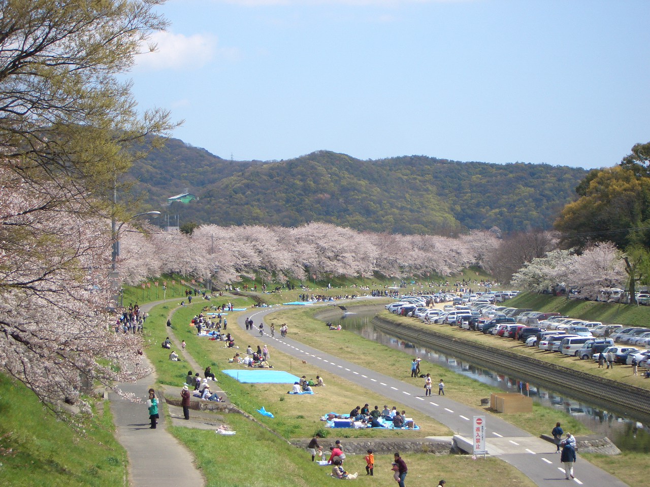 ファイル 2325-1.jpg