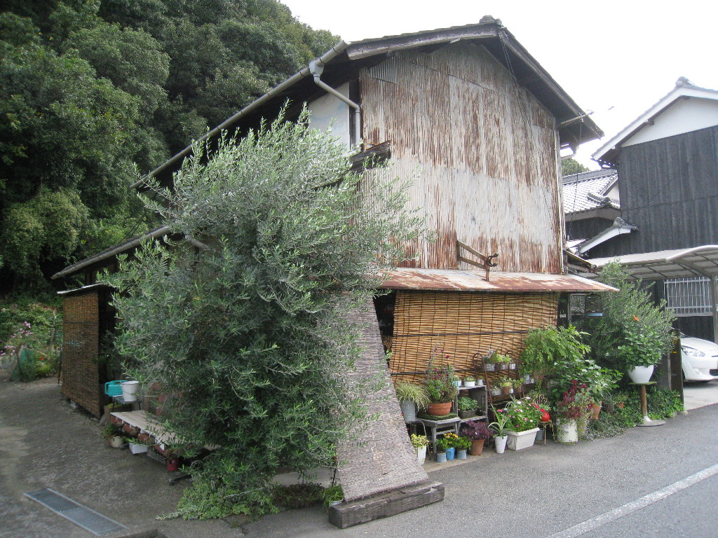 ファイル 2330-3.jpg