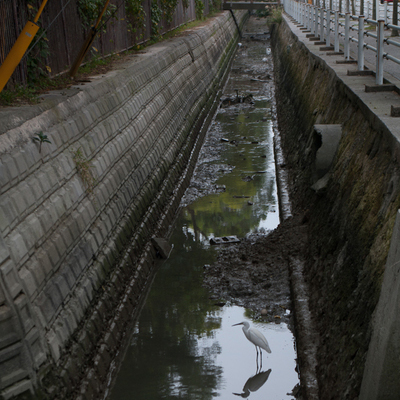 ファイル 2417-3.jpg