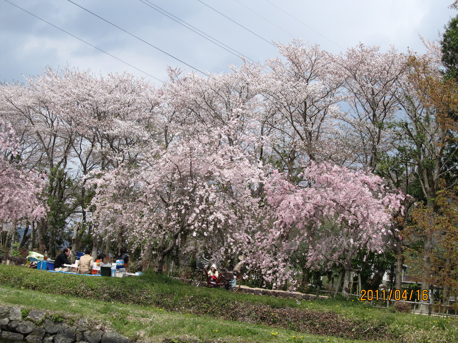 ファイル 670-1.jpg