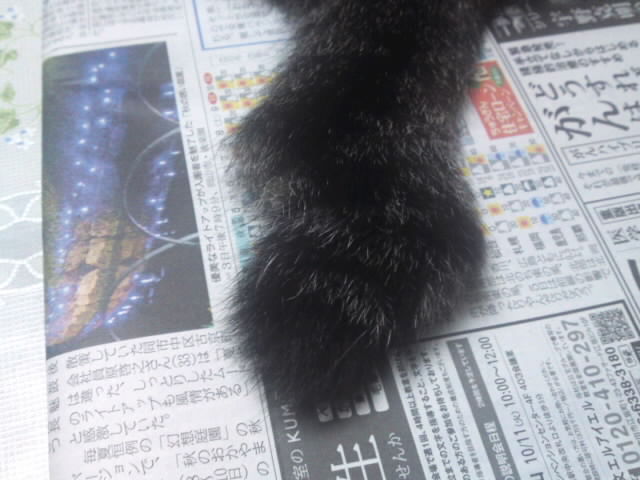 ファイル 877-3.jpg
